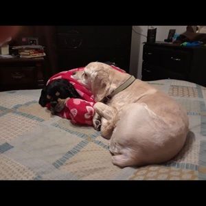 Meet your Posher, Kari